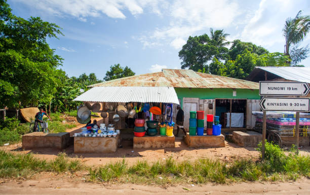 Tanzania Community Projects: Building Stronger and Sustainable Communities